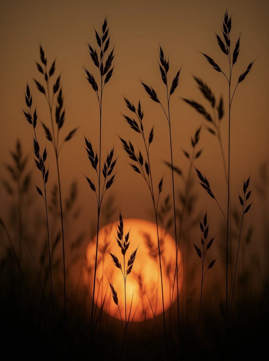 the_gpc_'s tweet photo. An early sunset 📸
By: ben wolf https://t.co/psvQxB1SQQ