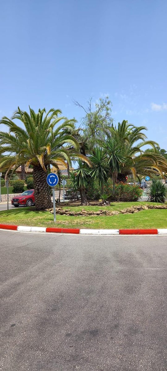 Tomares_es's tweet photo. ✅🌳 Cada semana, los equipos municipales trabajan en el mantenimiento de parques, jardines y rotondas para mantener nuestros espacios verdes limpios, cuidados y en buen estado. https://t.co/qTaAkhqHr4