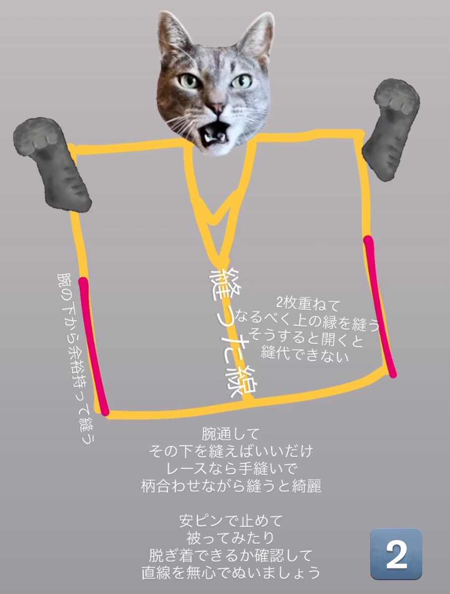 めいぷるねこ🐈 tweet media