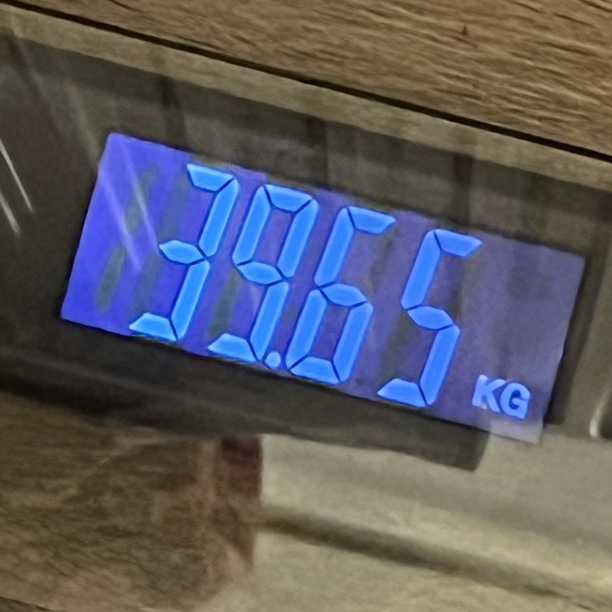 elcibuni's tweet photo. NOBODY MOVE IM UNDER 40KG https://t.co/E9EXulXOUM
