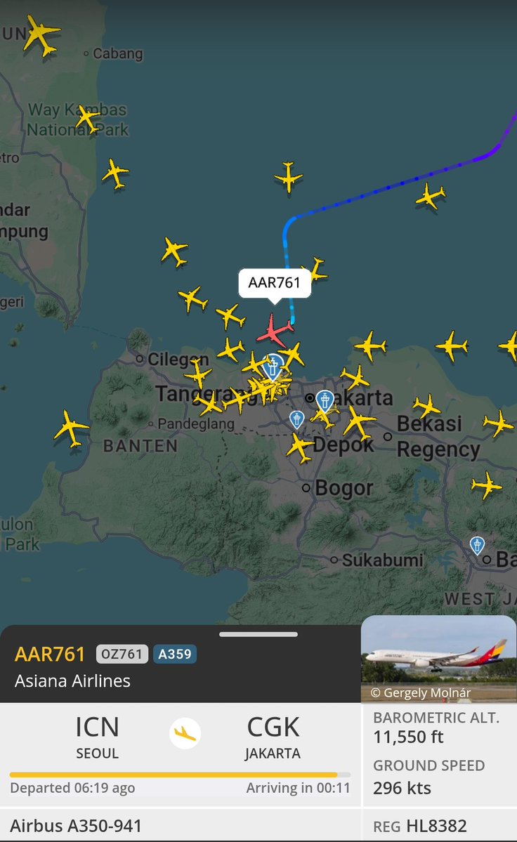 holicortis's tweet photo. deade cortis udah mau landing😭💓

#cortis https://t.co/wX0XKAKqJp
