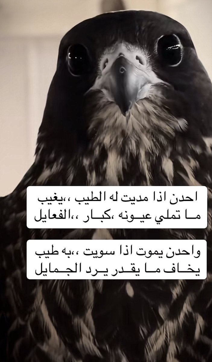 allahim_ibrahim's tweet photo. حكمة اليوم .. https://t.co/6FjjoG4xcd