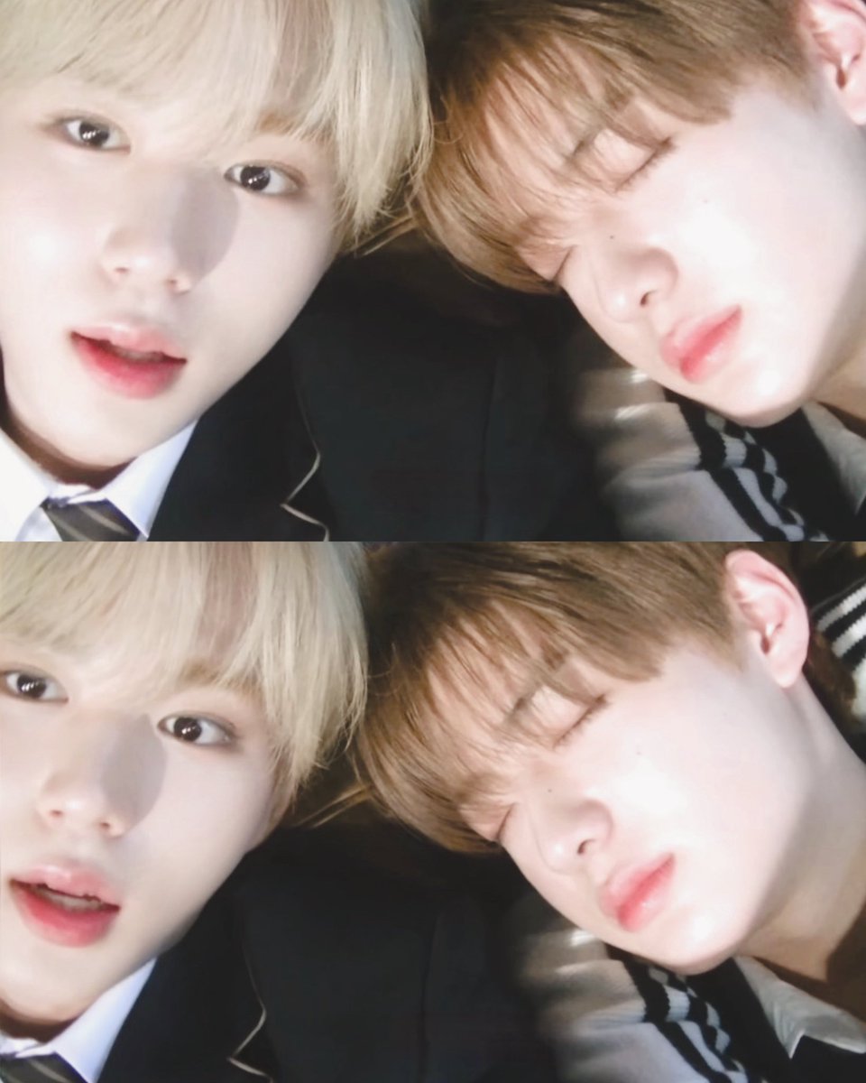 moaieyo's tweet photo. ㅅㅂ https://t.co/ygGyAyRH9H