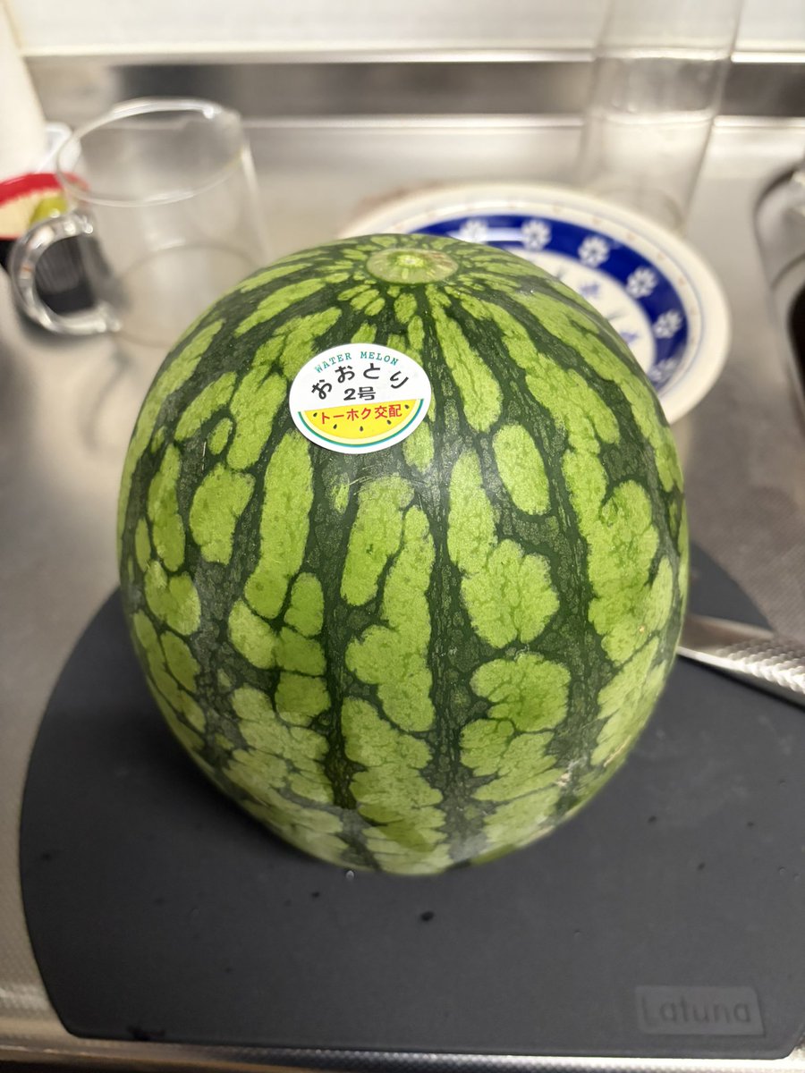 howashan_73's tweet photo. 今日もスイカ食べる🍉 https://t.co/GntPJ3KRTU