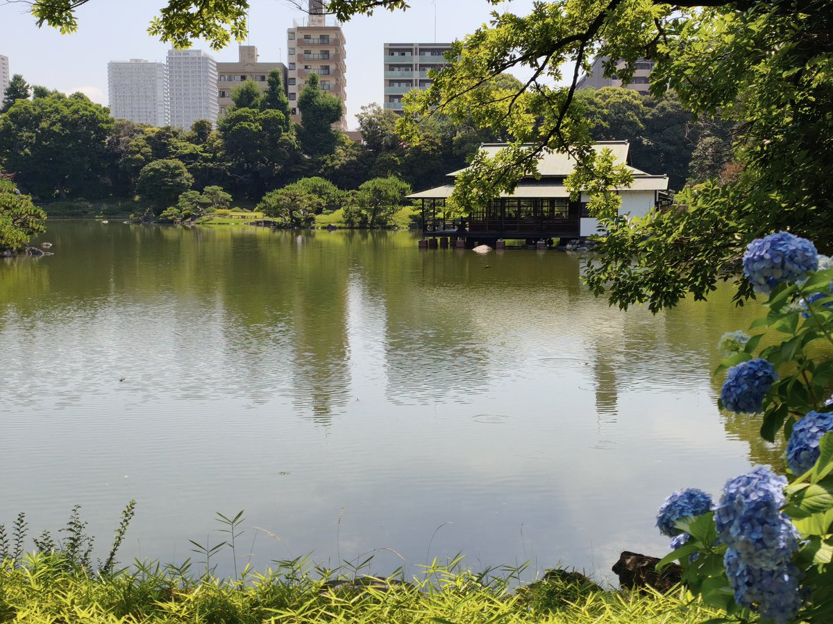 ugnt5's tweet photo. 今日は仕事終わりに清澄庭園へ
素晴らしい庭園でしたが、サギやカメなどの生き物の様子が気になってしまって庭園の写真はこれだけ。 https://t.co/QiveDwBWvI