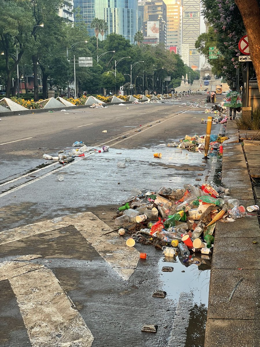 RoninShaolin's tweet photo. Mientras los japoneses han dado cátedra de civismo y educación en esta Copa del Mundo, los mexicanos vuelven a destacar por mugrosos. Así dejaron la principal avenida del país que, por cierto, es de las más hermosas del mundo. Un asco de sociedad.
#Reforma https://t.co/l3ZkW0dz9w