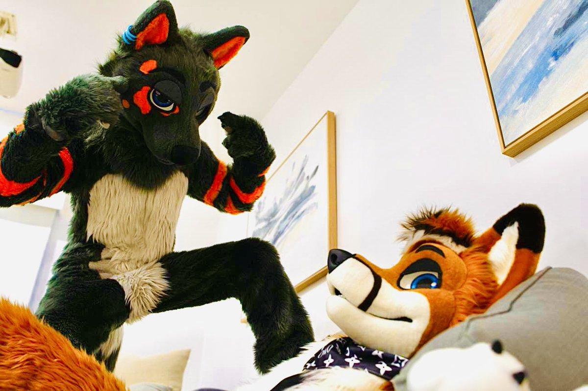 Charmis_fox's tweet photo. Twink arc. TWINK 
#fursuitfriday 

🐶: @CruiseTheDingo 
📷: @MaverickTheDeer https://t.co/Ug87x7VBv3