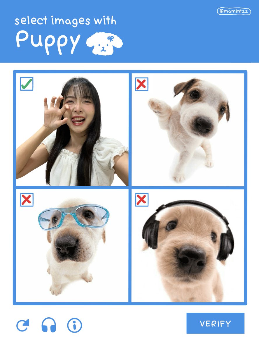 Air_Ja_Gutz's tweet photo. baby pup !  — #nanacgm48 🐶✅ https://t.co/2FR7goWKVk