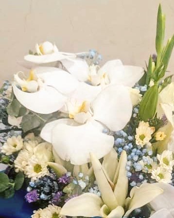 cansurga's tweet photo. این گل‌های قشنگم 🌞 https://t.co/Cgri2QJaP3