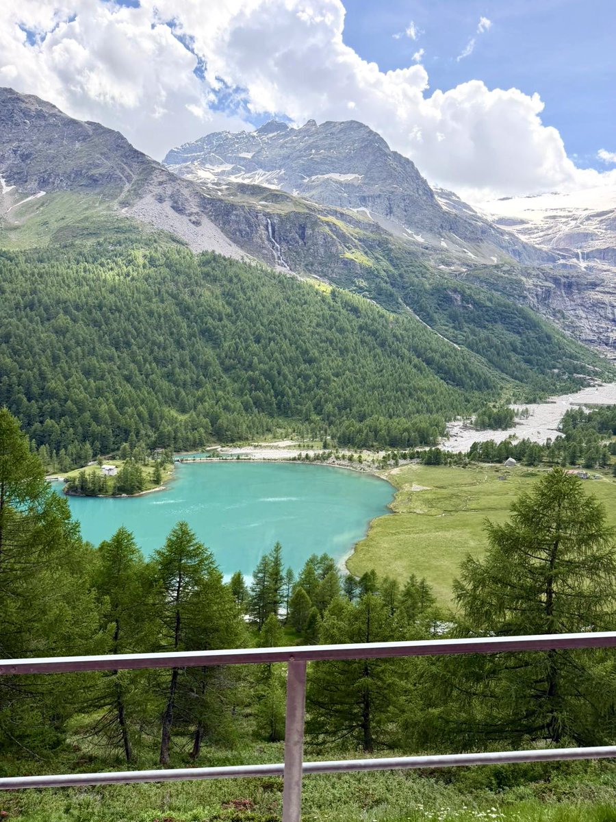 buddhaz's tweet photo. 🇨🇭 https://t.co/yZgCnofCEA