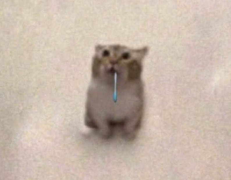TUNA_MAYO_MEME's tweet photo. Ya es viernes https://t.co/oEHVE1OSbF