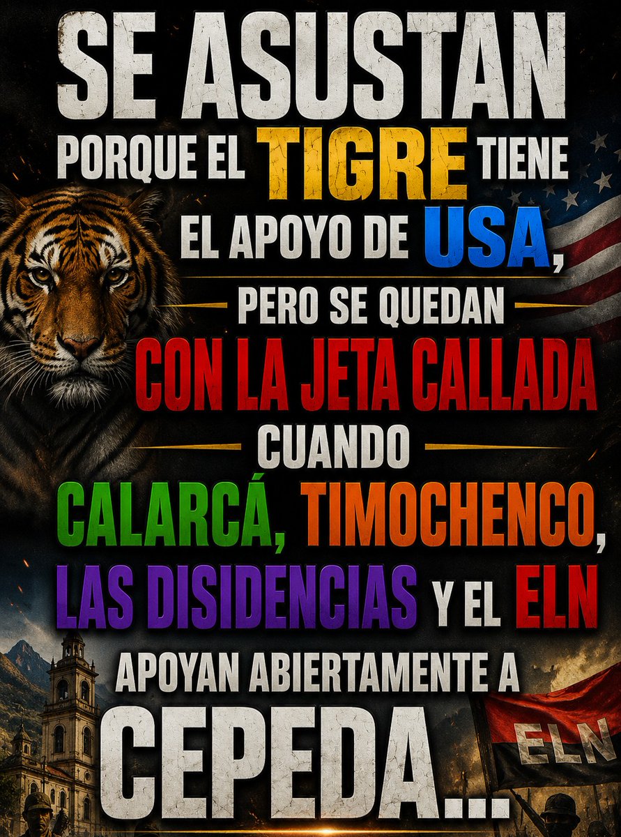 @MiguelS75388941 tweet media
