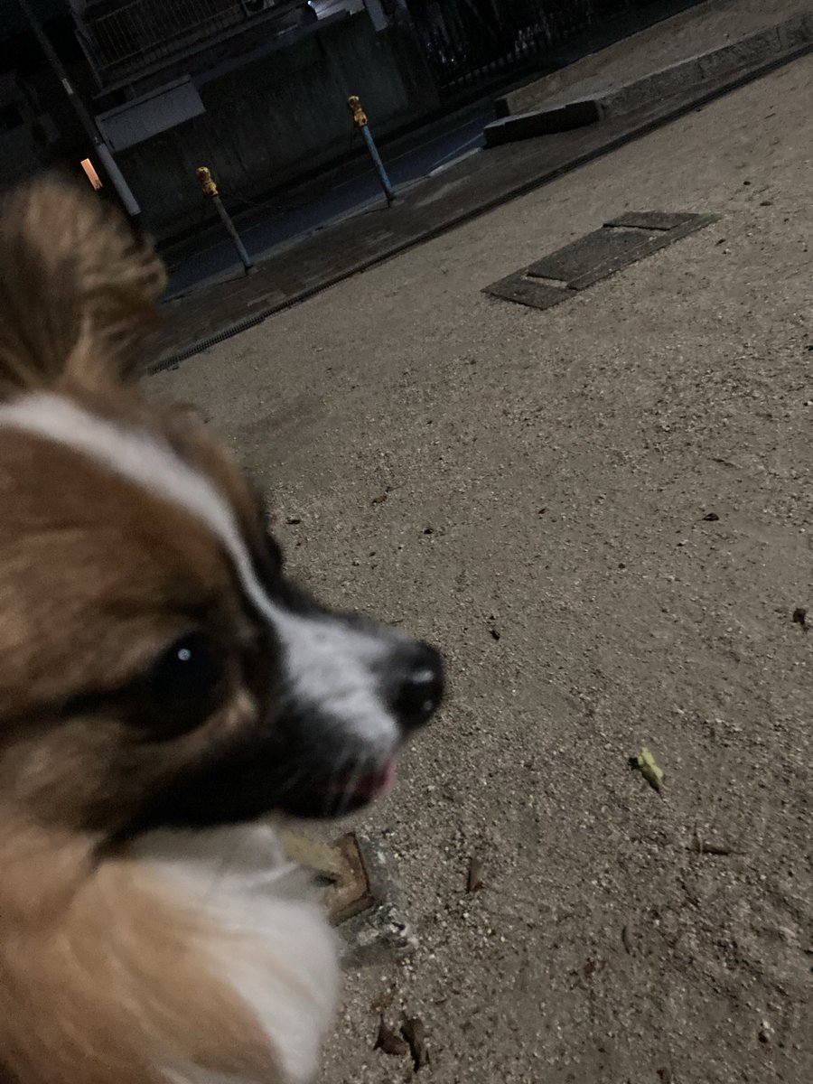 wing_mo9's tweet photo. るぅとも長いなぁ
あと何回 https://t.co/z6I6V3xtlU