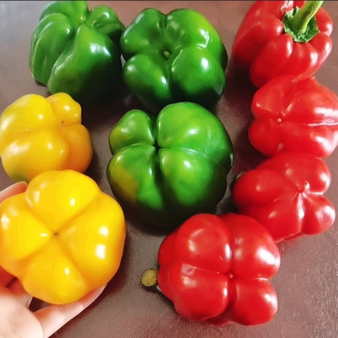 NIsinbaev's tweet photo. Stock up on fresh veggies, free-range eggs, and whole-grain bread for your weekend meals—local market haul hits different! https://t.co/2nbzkW5CBr