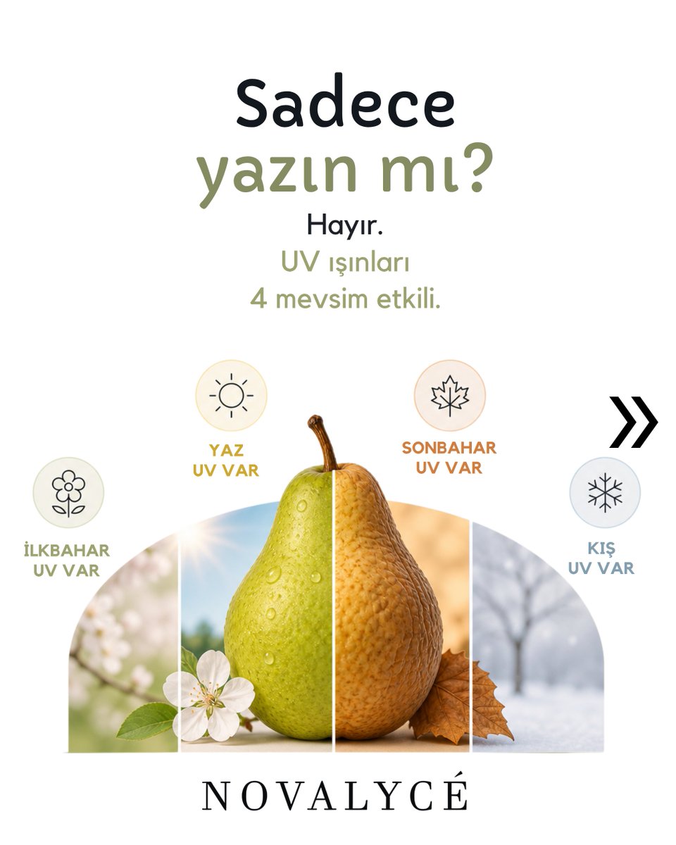 novalycetr's tweet photo. https://t.co/DV4m067DcE