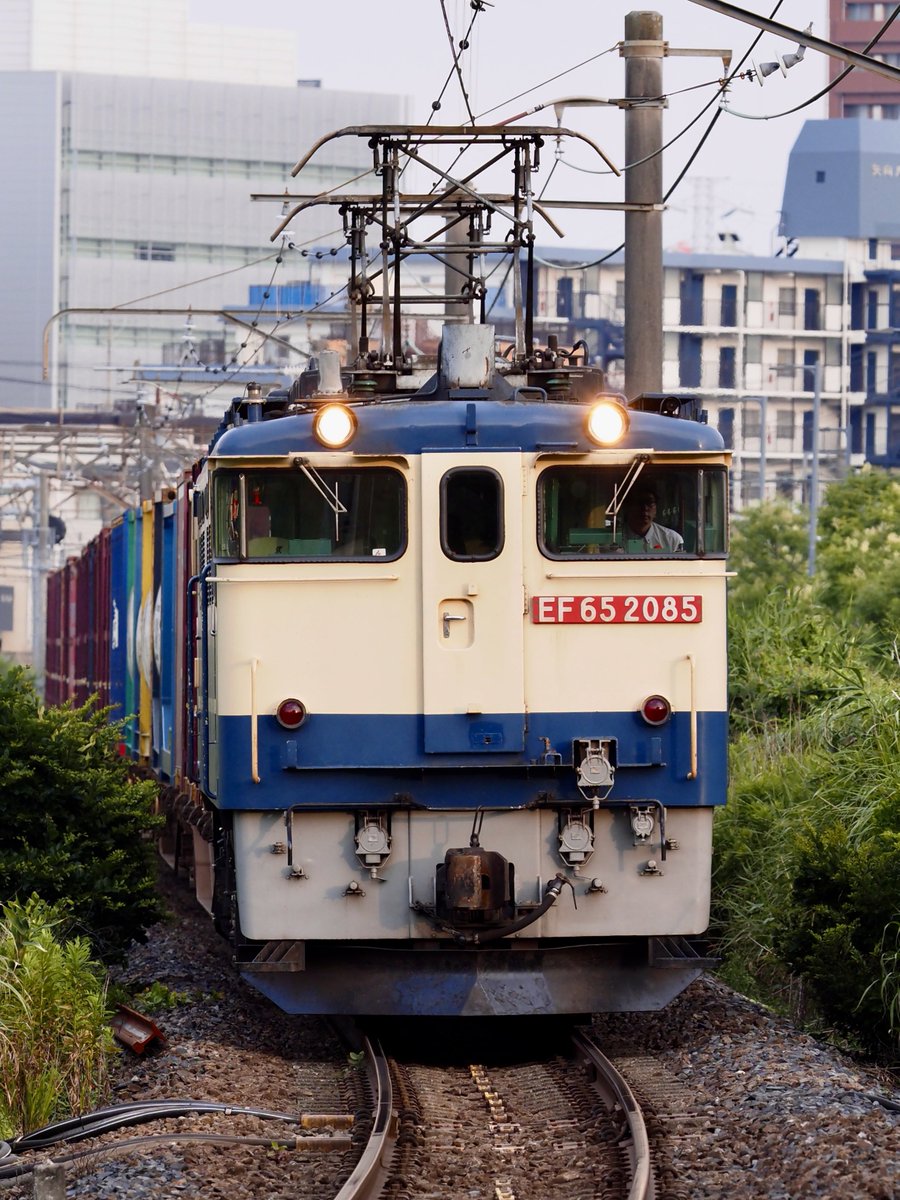 2026年6月19日 新A137仕業 79レ EF65 2085（代走） ＋ コキ 新鶴見信号