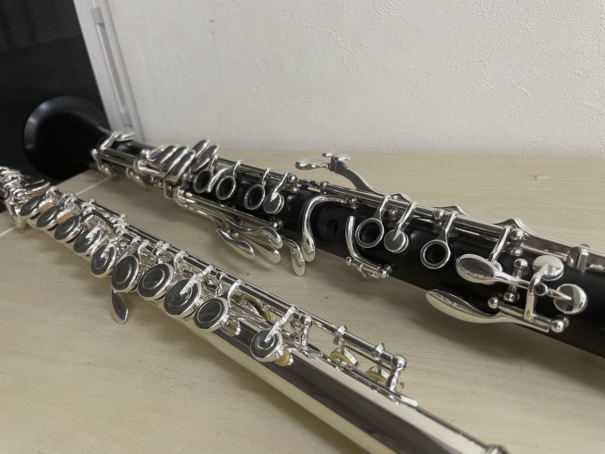 Musik_Kanal's tweet photo. 2つの楽器を交互に練習すると、甘いものとしょっぱいものを交互に食べるのと同じ現象が起きる

#無限ループ https://t.co/kQFTmqTd5C