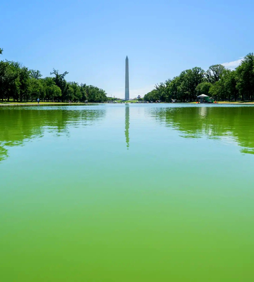 SchlimmeDinge's tweet photo. +++ EILMELDUNG +++

Donald #Trump lässt den Reflecting Pool in Washington für 12,3 Millionen Euro zur Feier des Sieges des #Irans über die USA und als Zeichen seiner #Kapitulation in den Farben der Iranischen Flagge einfärben. https://t.co/fZG3UznlFp