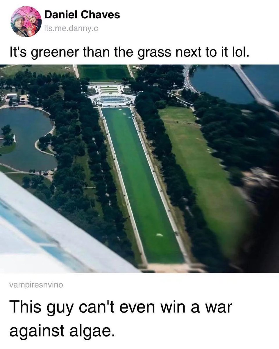 YourAnonNews's tweet photo. He can't even win a war against algae. https://t.co/Zha1ZwsLOj
