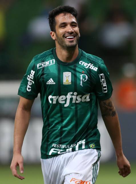 Portal do Palestra | Palmeiras tweet media