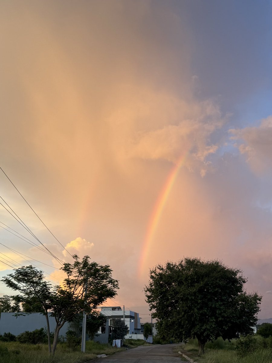 squeezit's tweet photo. 🌈 TGIF 🌈 https://t.co/pnsDjjMBRp