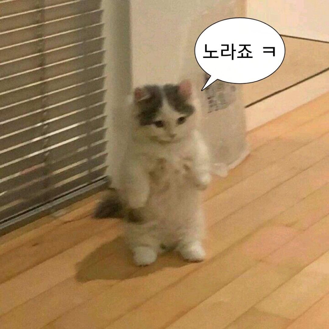 mamyu1490796's tweet photo. 얘들아 뭐 해??
난 저녁 먹고 홈트하고 청소하고 설거지하구 옴 https://t.co/D4bJiddWC0