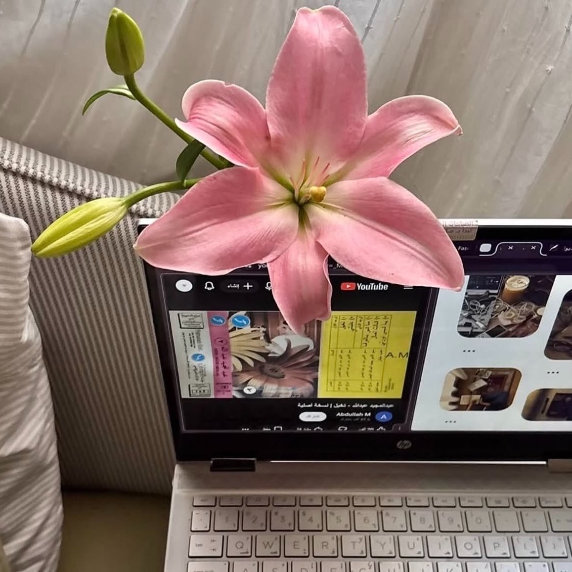 °❀.ೃ࿔* tweet media