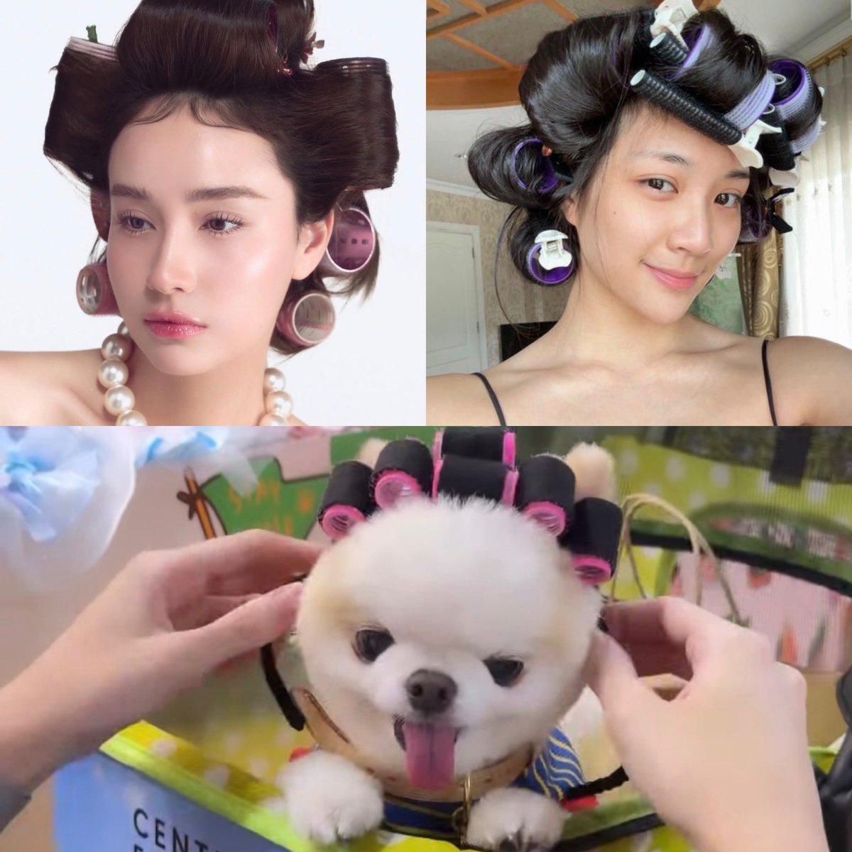 kiikeydst2's tweet photo. เอ่อออ สำเนาถูกต้อง5555555555445445555

#GinJay #จินเจ #ginnynatnicha #aangelinaass https://t.co/atzTtloxQQ