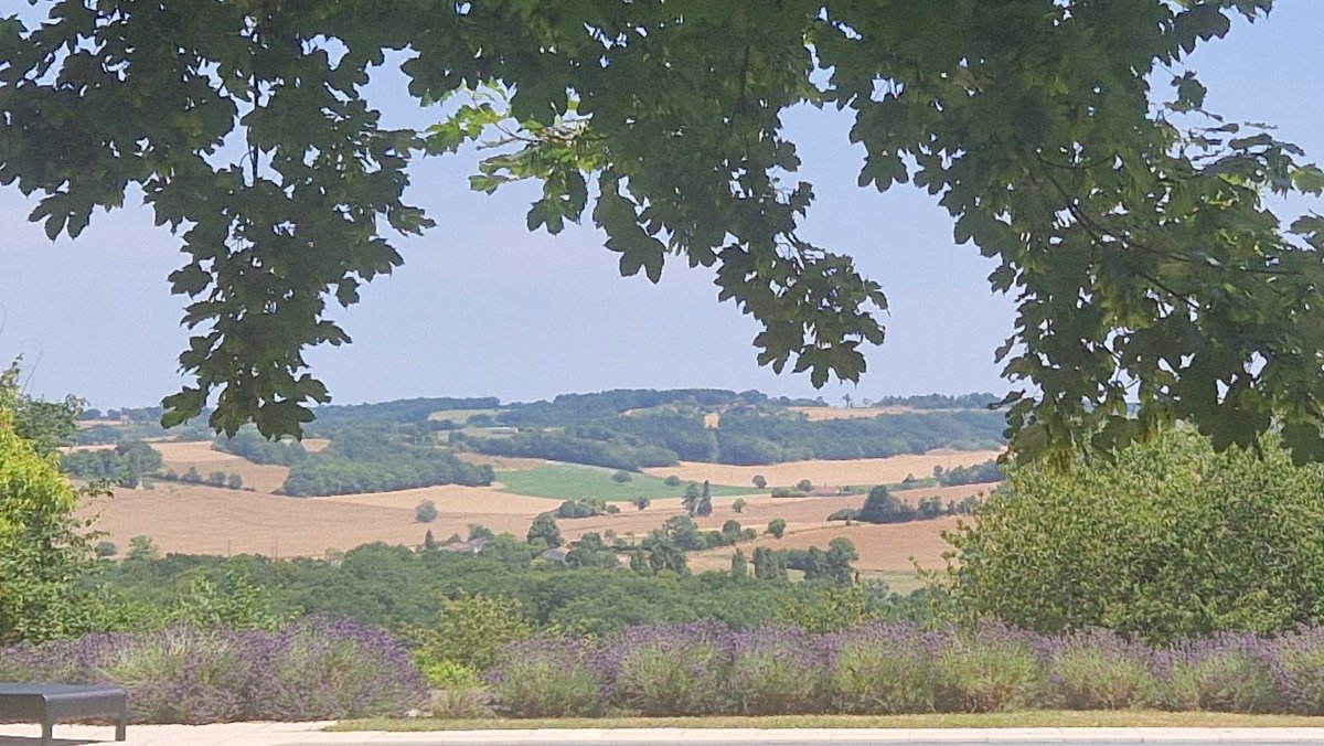 sirenixVR's tweet photo. Getting called out for a work emergency on one of your only days off is a pain but at least the view is pretty :) https://t.co/T6fJREZ0WV