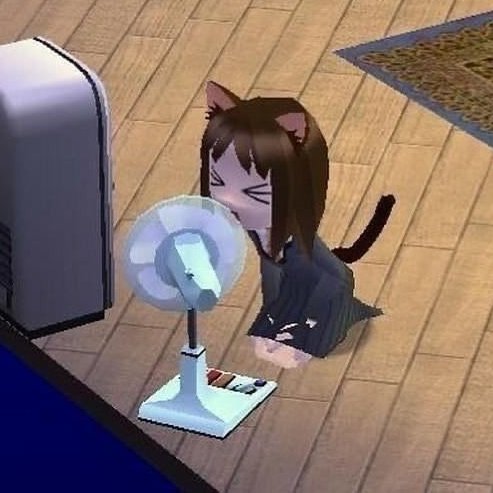 /ᐠ - ˕ -マ tweet media