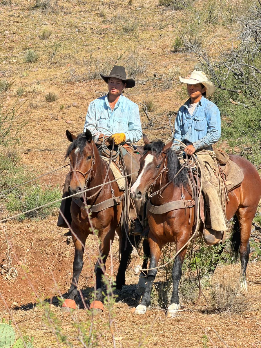 dalebrisby's tweet photo. The Return to Arizona: Catching Wild Mavericks Part ll - coming soon! https://t.co/pK626TmMqz