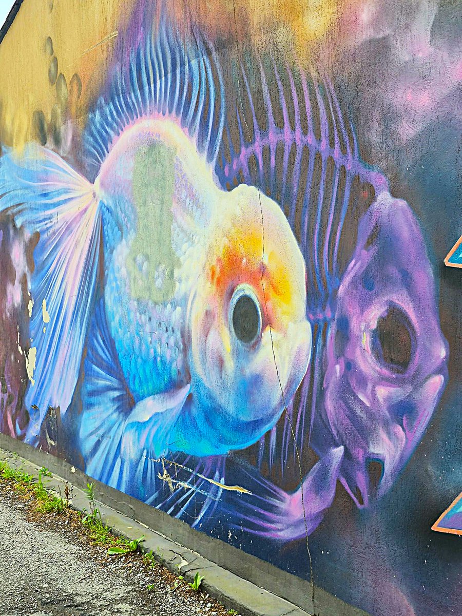 StreetArtShow's tweet photo. Toronto Alleyway🎨🍁 #art #streetart #urbanart #torontoart #mural #Toronto https://t.co/US4ogdoY96