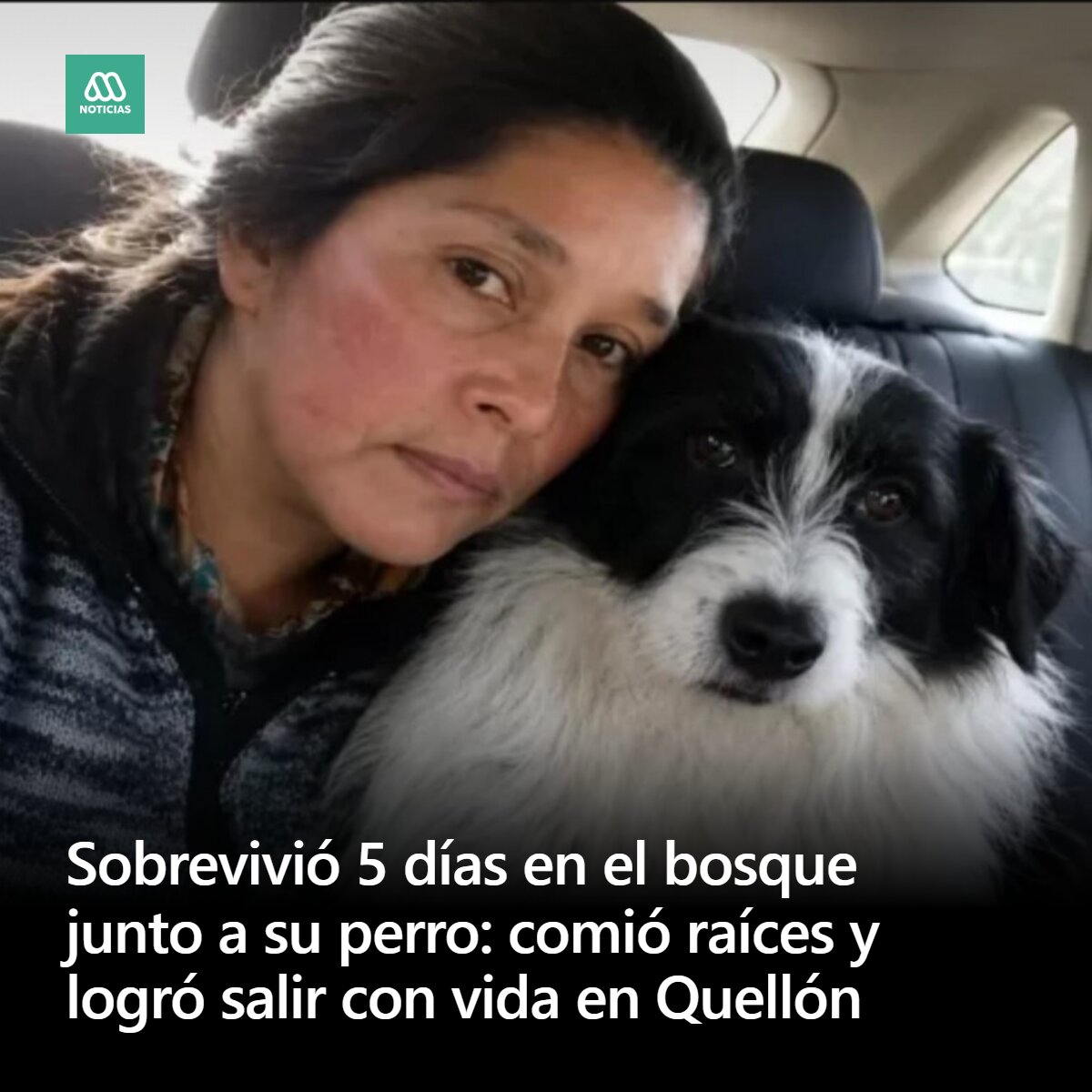 meganoticiascl's tweet photo. Una mujer de 54 años que fue encontrada con vida en Quellón, tras 5 días desaparecida, enfrentando el frío, la lluvia y las difíciles condiciones de una zona boscosa junto a su perro. https://t.co/MDNzDuugIK
