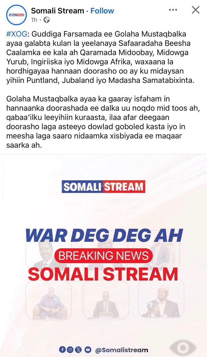 G.MulMuli tweet media
