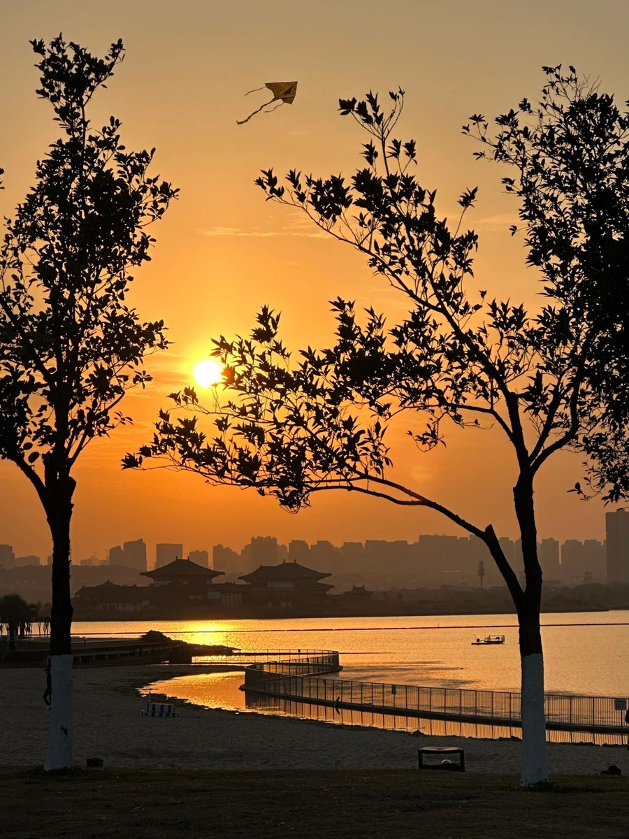 Ajbeu11's tweet photo. New to photography Start with natural light—soft, even, and free! Shoot during golden hour (1hr after sunrise/before sunset) for warm, dreamy shots. No fancy gear needed, just your phone. #PhotographyForBeginners https://t.co/W4wwlaXgpk