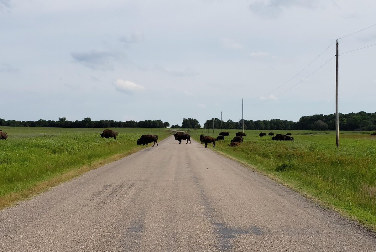 RickelmanSarah's tweet photo. Take me back to Oklahoma🤎
https://t.co/V3o33lpsf3
#oklahoma #pawhuska #osage #america https://t.co/gYoXO6rOmS