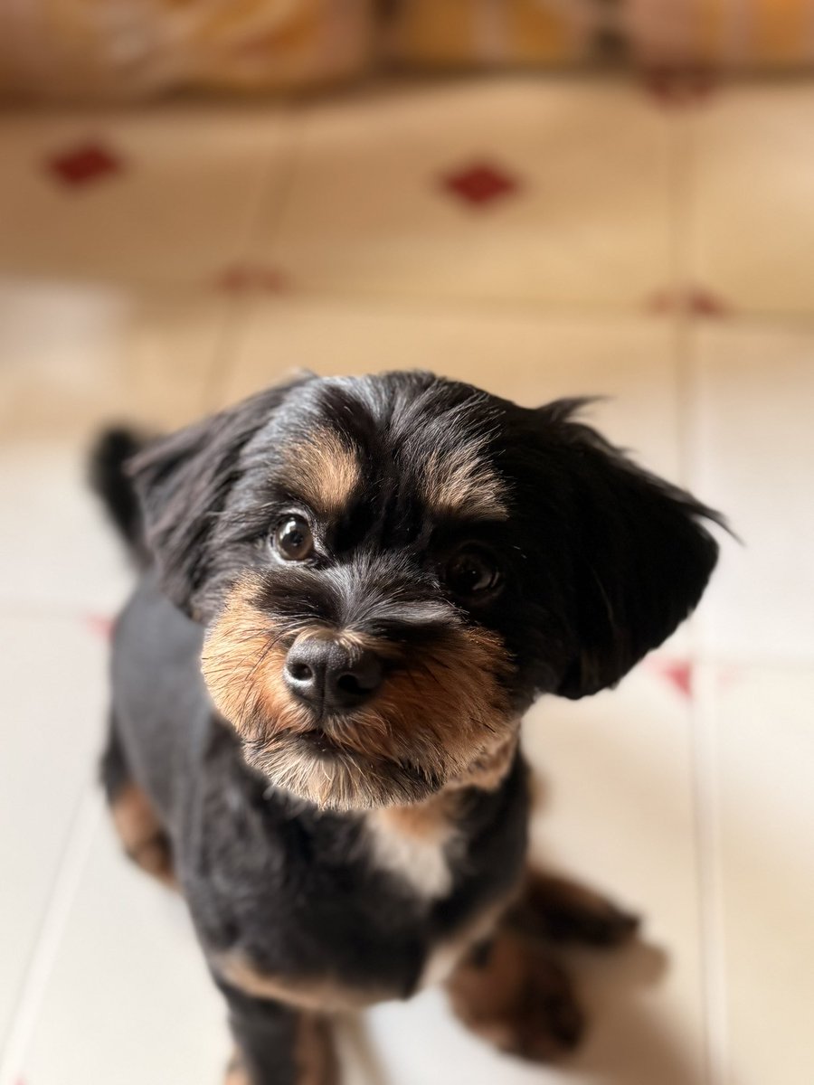 Gilly9733's tweet photo. Cutieee https://t.co/R8OLarJR0P
