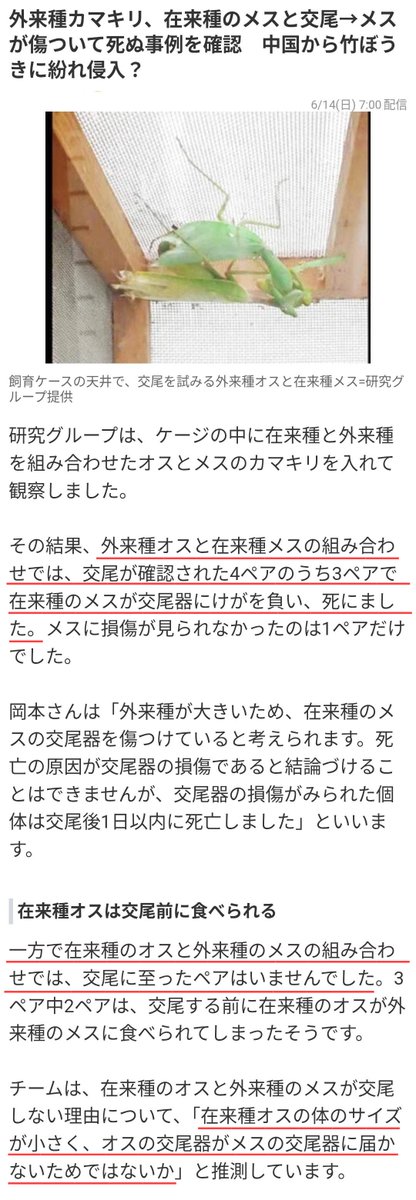 滝沢ガレソ tweet media