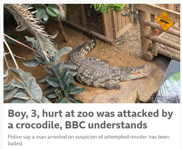 UtUt482's tweet photo. The BBC are leading with ATTACKED BY A CROCODILE. Why was the man arrested, @BBCNews? Why was he fucking arrested? Scum, fucking traitors https://t.co/b8dhH8T4vk