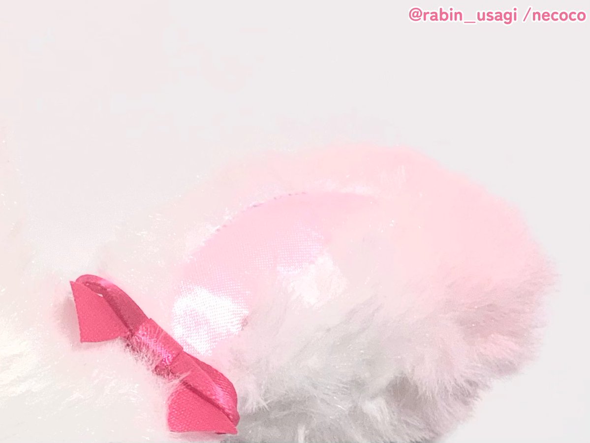 rabin_usagi's tweet photo. ちら… https://t.co/dPe5m9A6Si