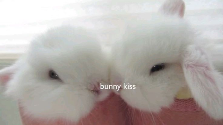 ashyaywoohoo's tweet photo. kiss yum! https://t.co/U6gcQErPBU