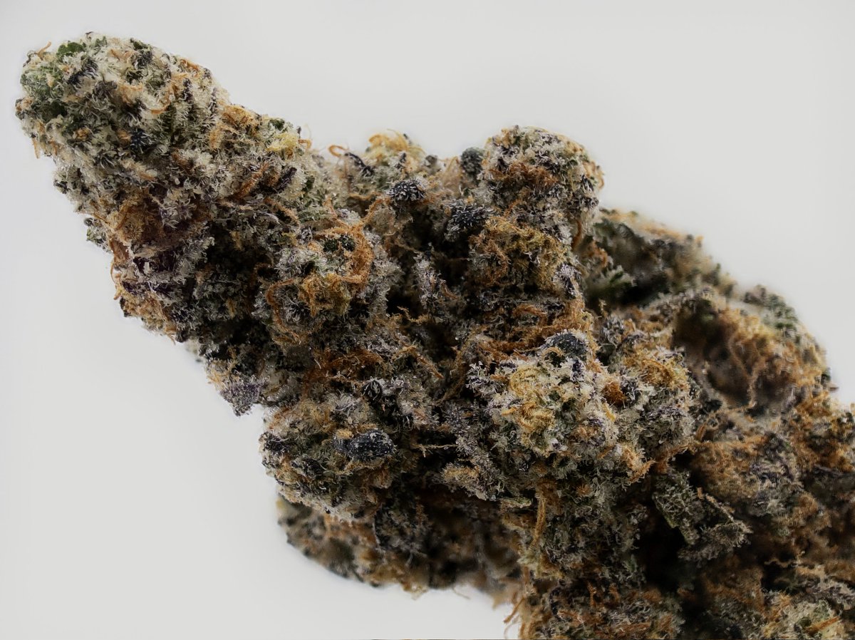 The_Hemp_Critic's tweet photo. Jelly Breath Southern Harvest Hemp 

Nugs came nice and dense, super frosty with good trich coverage, deep green with some purple pops and those sticky orange hairs. Aroma is sweet berry jelly mixed with floral notes. Moisture is at 11% vape was smooth, flavor on point with tangy berry on the inhale and that rich creamy herbal finish. Effects are relaxing, indica dominant hybrid – nice body melt for the shoulders and back, chill head without being too heavy.
