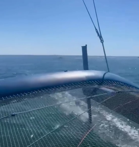 UltimBoat's tweet photo. #Ultime #Ultim #Entraînement
Sortie en cours pour SVR Lazartigue et cela depuis la mi journée. Une sortie de 24 h dans le golfe de Gascogne. https://t.co/kYgCEHPn3Z