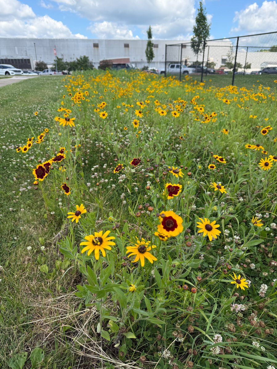 OhioPort tweet picture