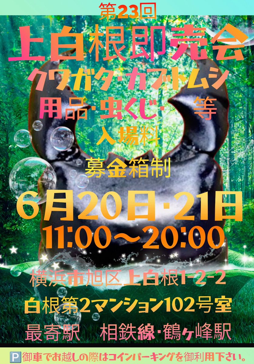 Dorcus0098's tweet photo. 6月20日〜21日は上白根即売会❗️
いつも通り自己採集個体＋ブリード品を少量持っていきます👊✨ https://t.co/RVo74hmmA1
