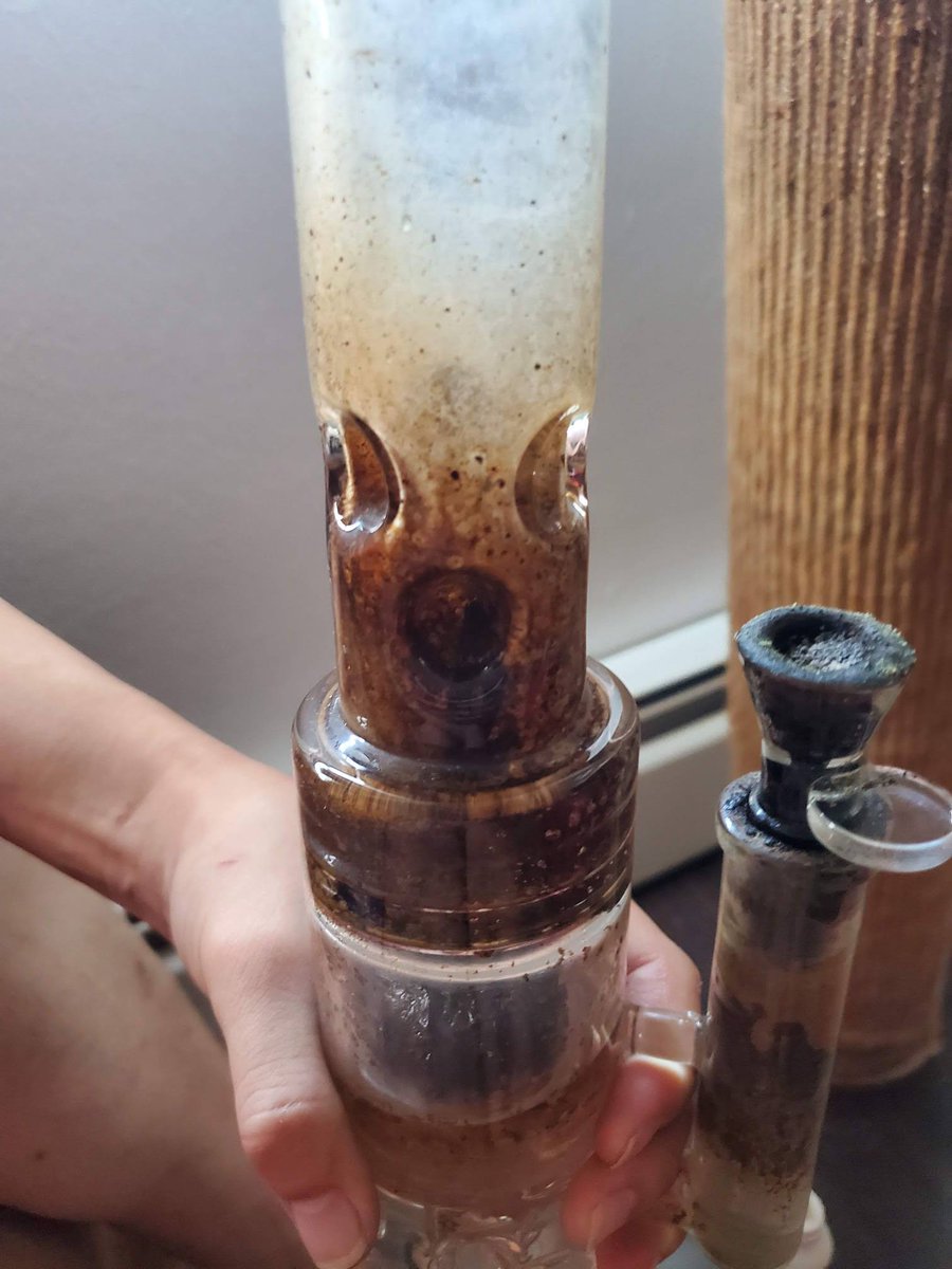 MileHIGHCleaner's tweet photo. Never been cleaned and almost clogged. 10 drops of BonGOO and a few sessions it is already rinsed significantly cleaner. The Percs are clear and it hits again. I will post in a few days when it rinses clean. https://t.co/HcWzCjSpJS