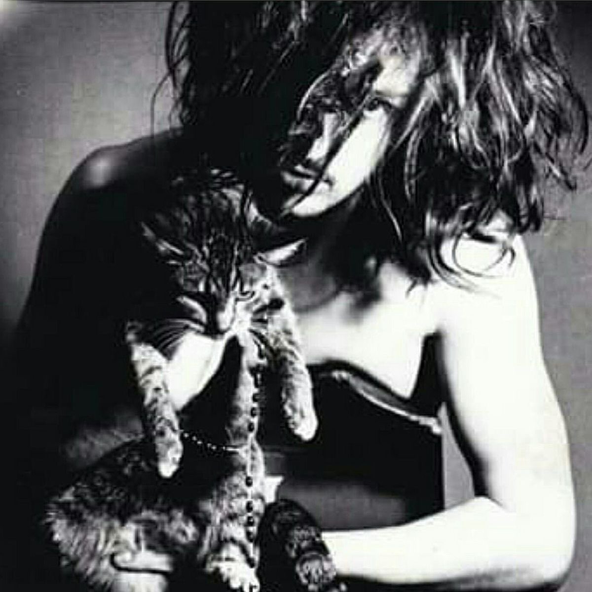 Daily Rob Zombie tweet media