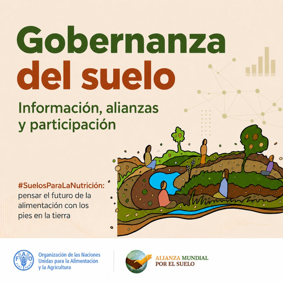 FAO_Colombia's tweet photo. 📊La gobernanza del suelo empieza con información, alianzas y participación. @FAOLandWater @BMLEH_Bund @MinAgricultura y @SomosAGROSAVIA conectan capacidades locales con prioridades globales con #SuelosParaLaNutrición ➡️ https://t.co/QGCkq7HH4S 

🧵👇🏽 https://t.co/FPmvjTQFIV