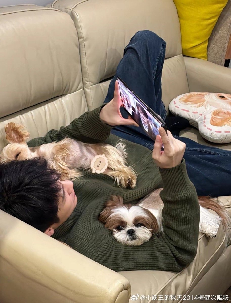 Violettkid's tweet photo. My lazy Sunday just got way better  Cuddling with my fur baby on the couch while the rain taps the window—this is the kind of warm, unplanned joy that makes every week worth it. No fancy plans, just pure pet love https://t.co/n3pTYUJUbC