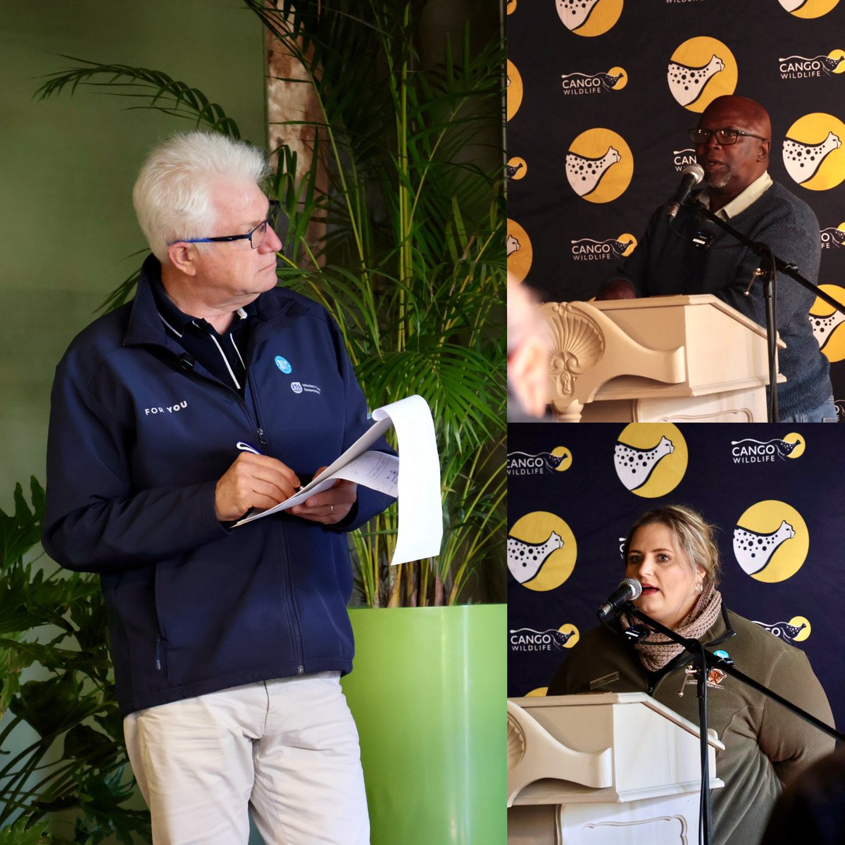 Premier Alan Winde tweet media
